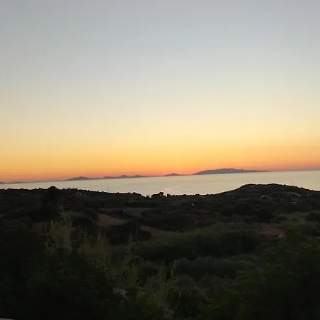 Tiricca